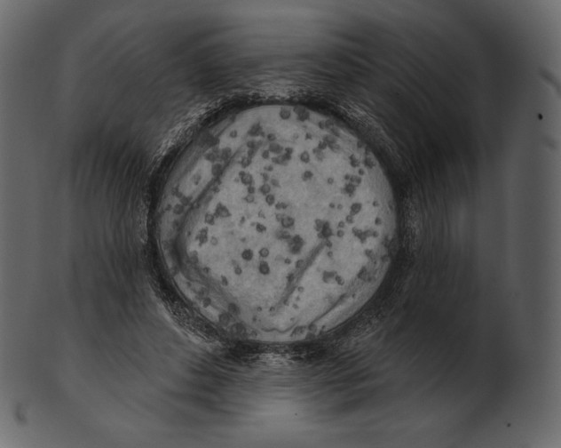 X0000100500496200807031944