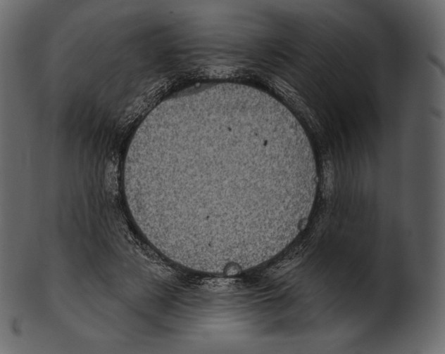 X0000100500497200807031944