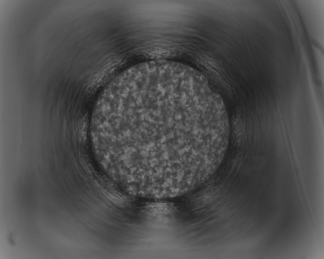 X0000100500499200807031944