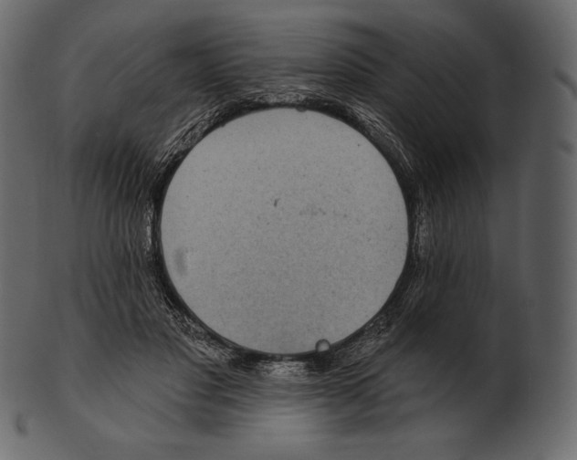 X0000100500501200807031944