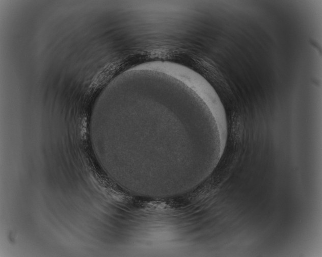 X0000100500502200807031944