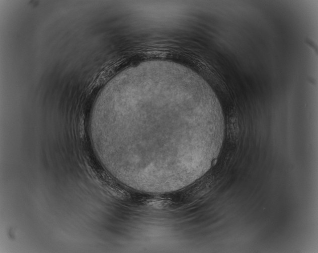 X0000100500504200807031944