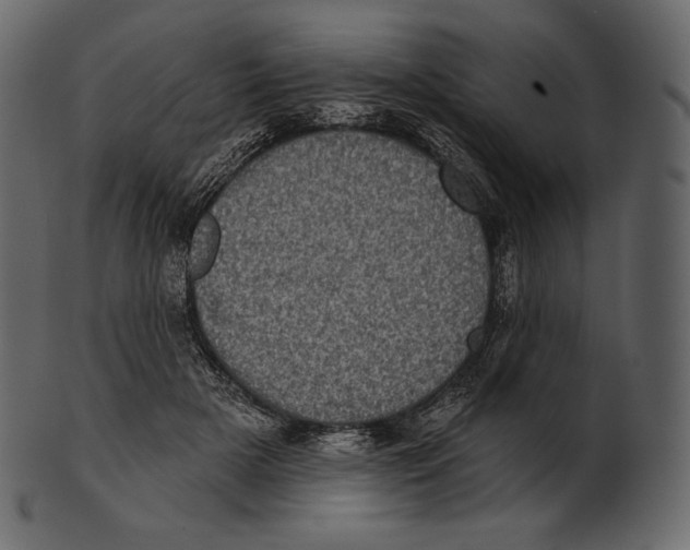 X0000100500505200807031944