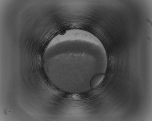 X0000100500506200807031944