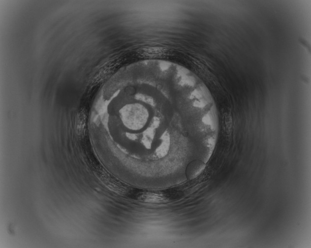 X0000100500507200807031944