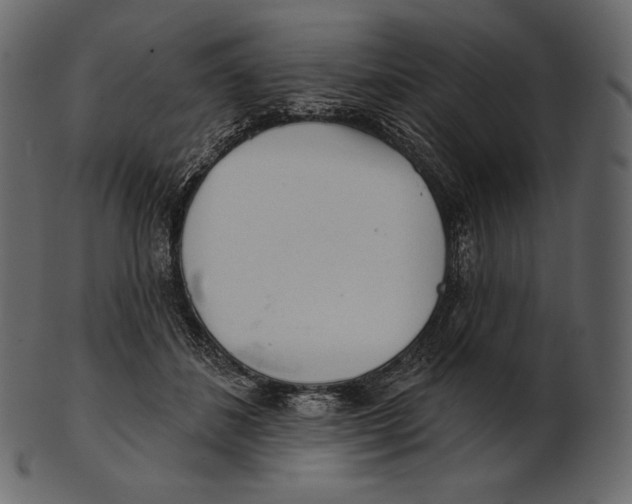 X0000100500508200807031944