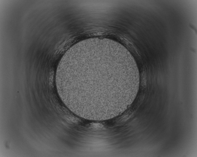 X0000100500509200807031944