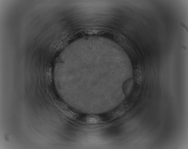 X0000100500510200807031944