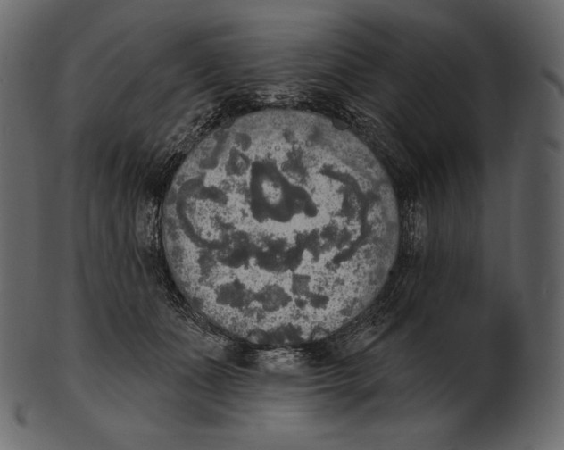 X0000100500511200807031944