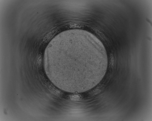 X0000100500513200807031944