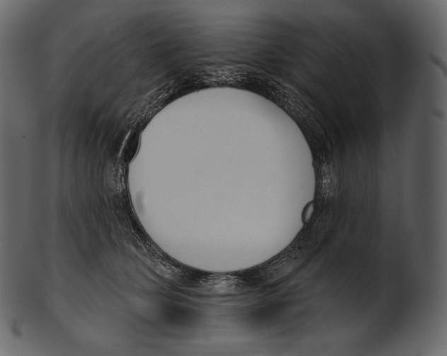 X0000100500514200807031944