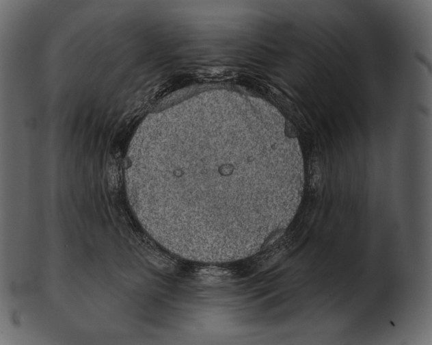 X0000100500515200807031944