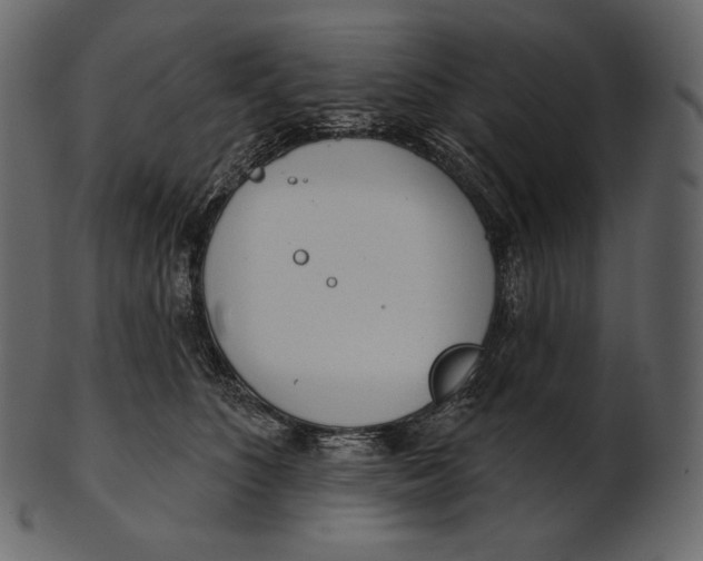 X0000100500516200807031944