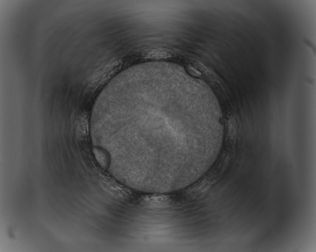 X0000100500517200807031944