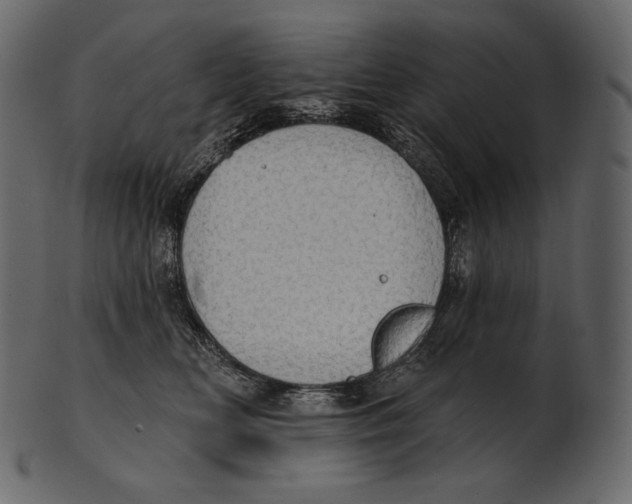 X0000100500518200807031944