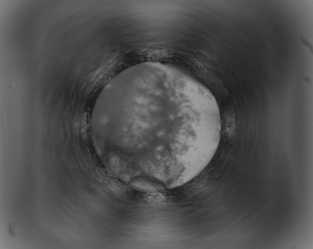 X0000100500519200807031944