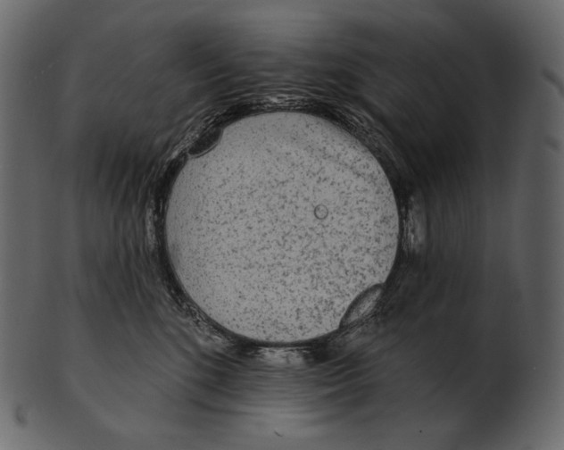 X0000100500520200807031944