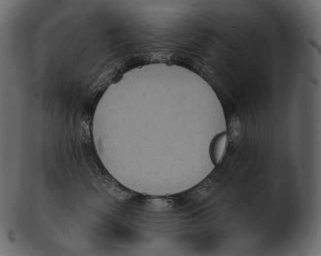 X0000100500522200807031944