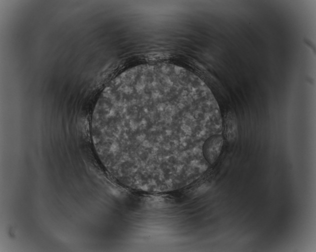 X0000100500523200807031944