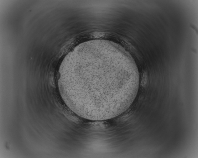 X0000100500524200807031944