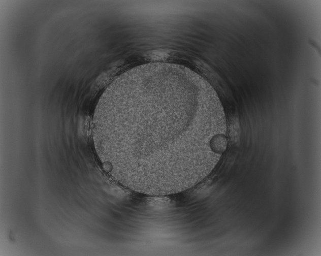 X0000100500525200807031944