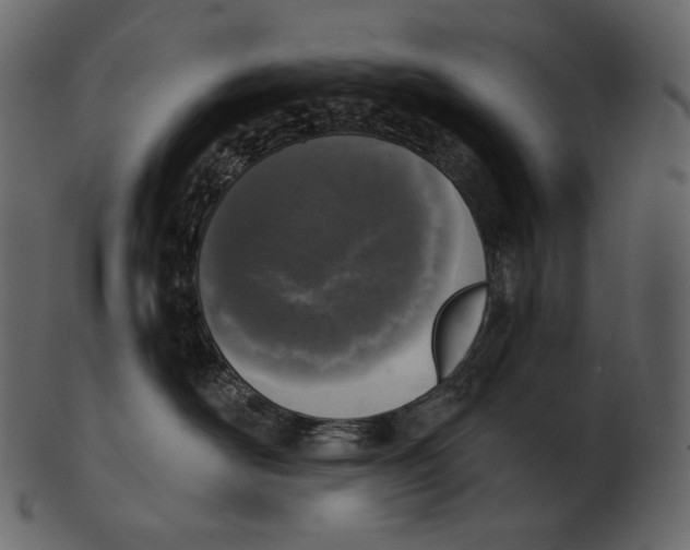 X0000100500526200807031944