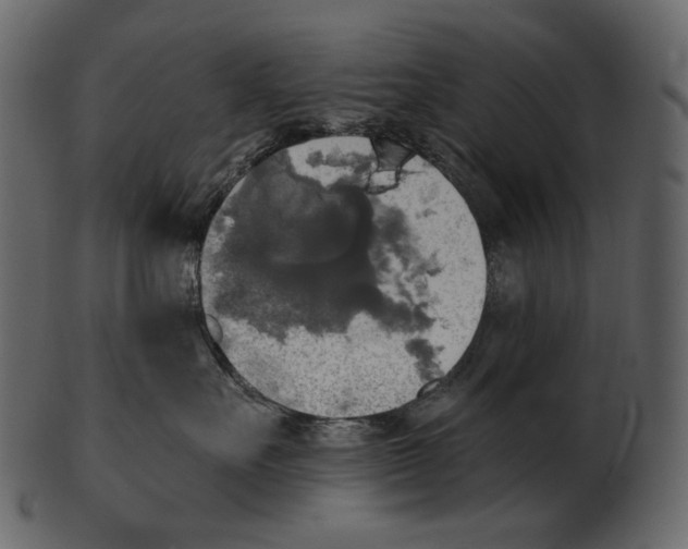 X0000100500527200807031944