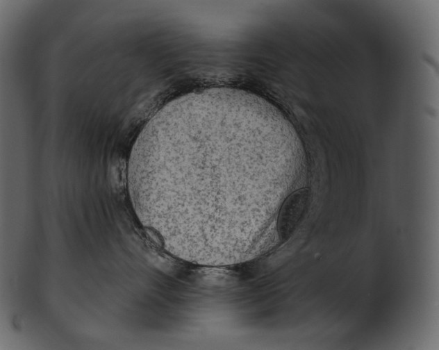 X0000100500528200807031944