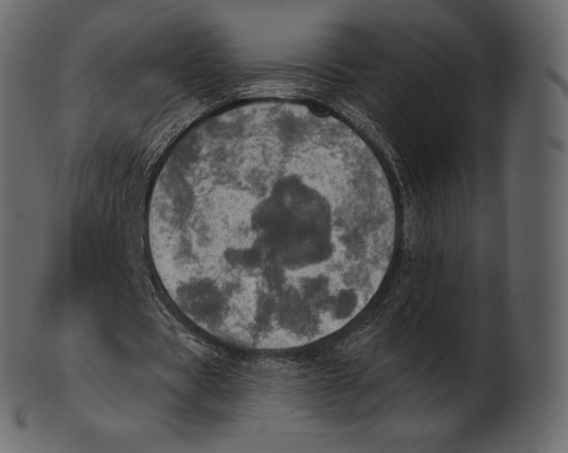 X0000100500529200807031943