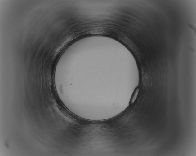 X0000100500530200807031943