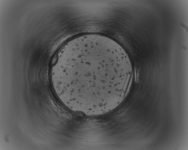 X0000100500531200807031943