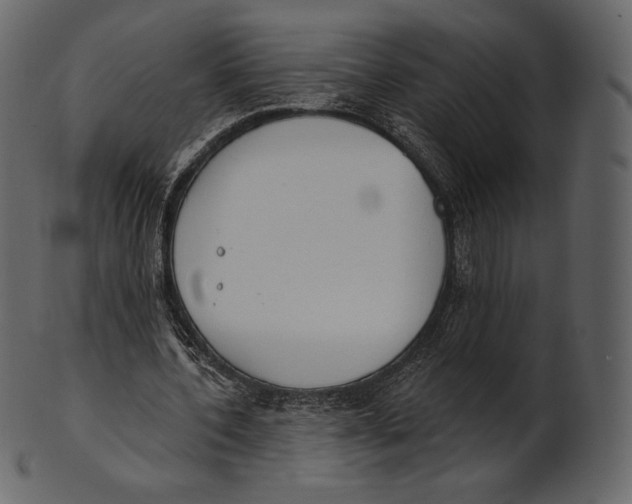 X0000100500532200807031943