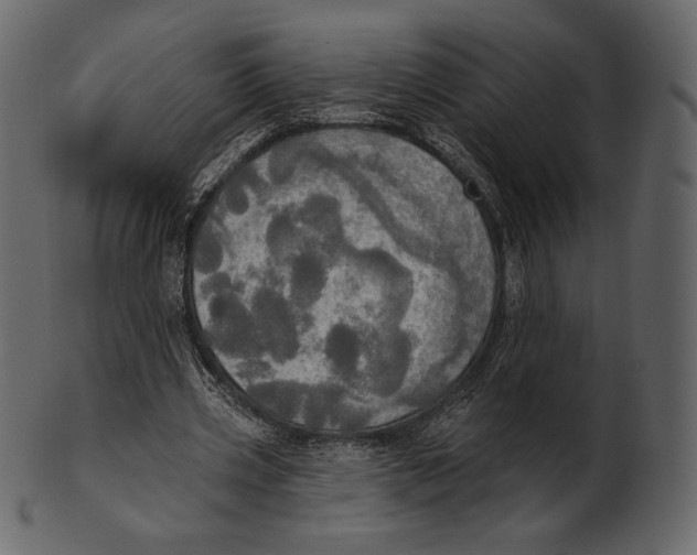 X0000100500533200807031943