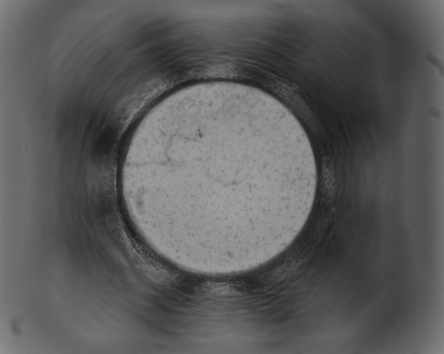 X0000100500534200807031943