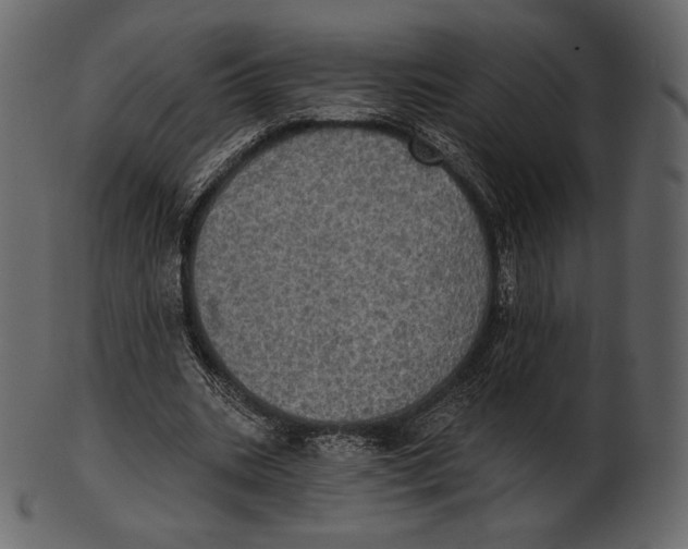 X0000100500535200807031943