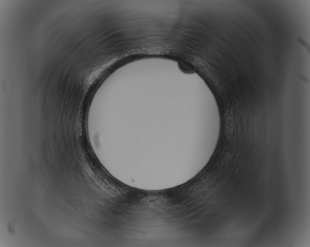 X0000100500536200807031943