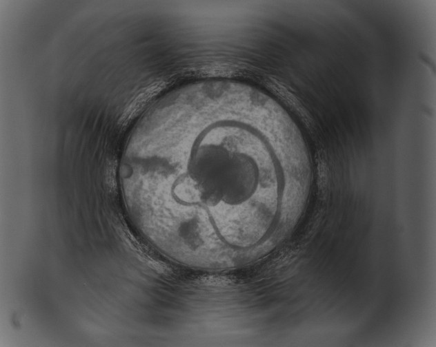 X0000100500537200807031943