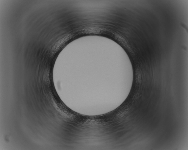 X0000100500538200807031943