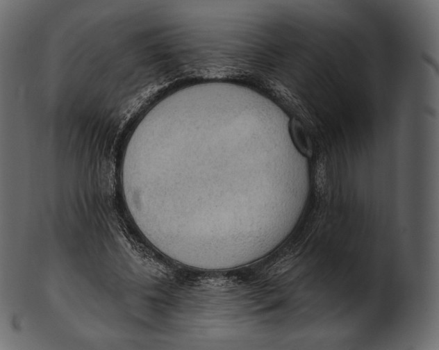 X0000100500540200807031943