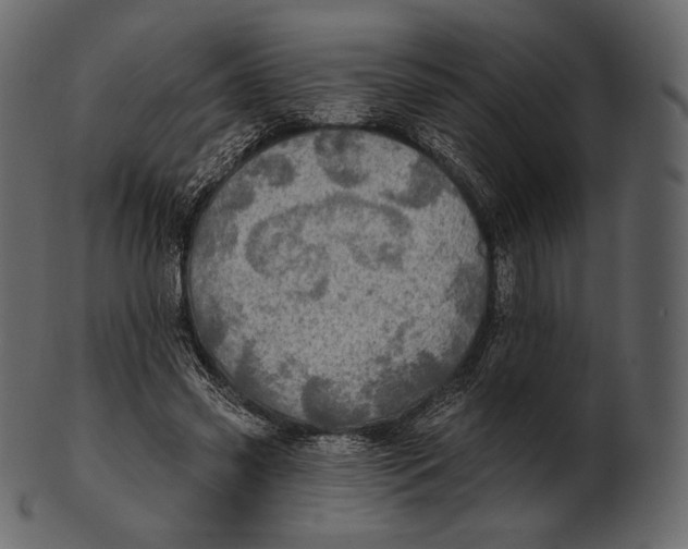 X0000100500541200807031943