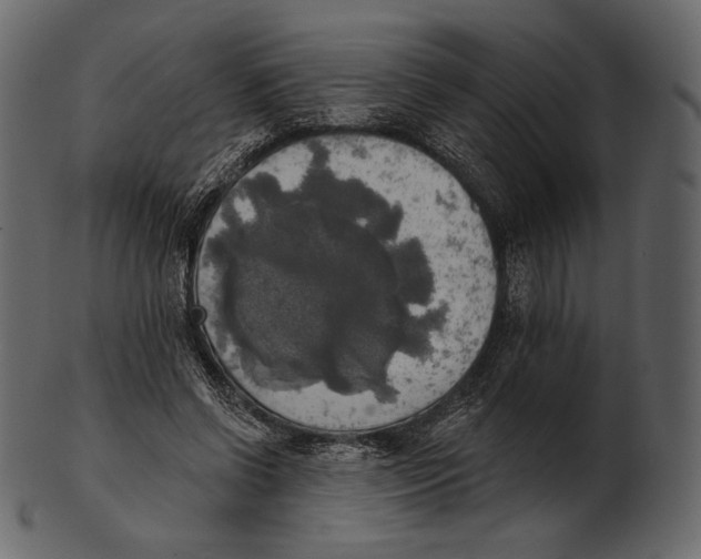 X0000100500542200807031943