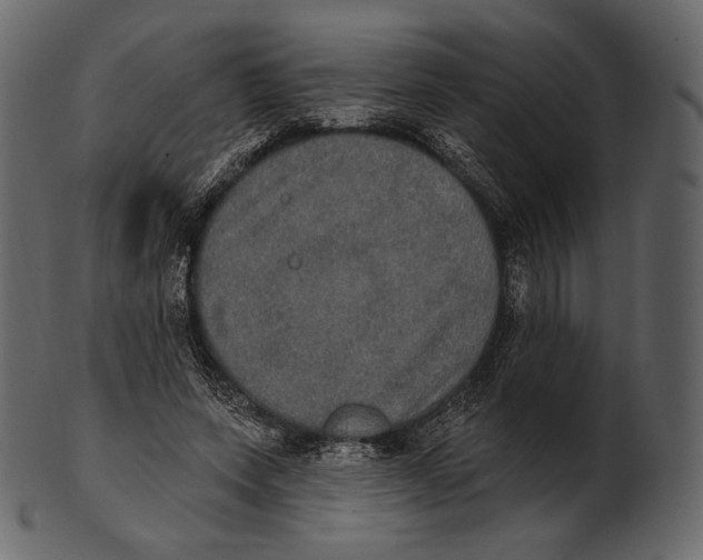 X0000100500543200807031943