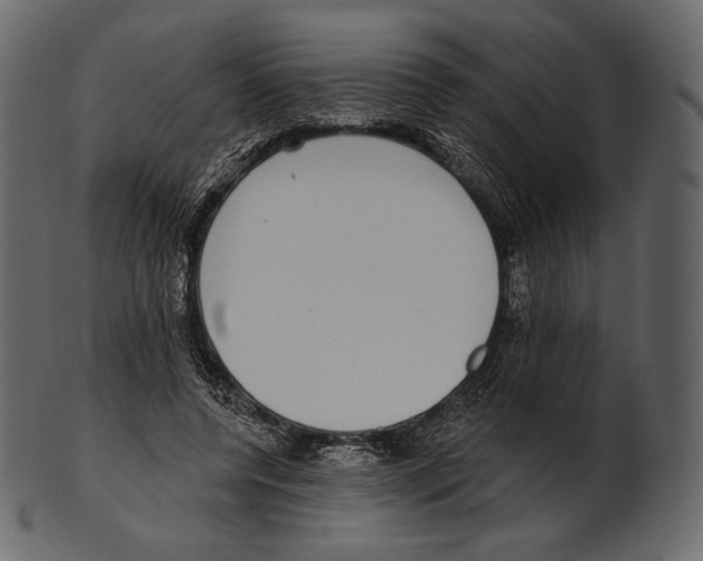 X0000100500544200807031943