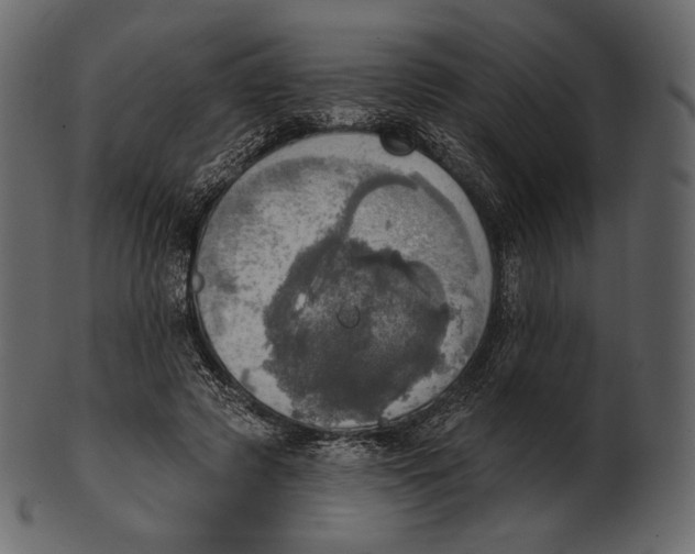 X0000100500545200807031943