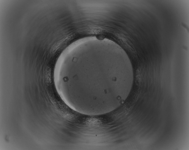 X0000100500547200807031943