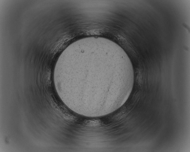 X0000100500548200807031943