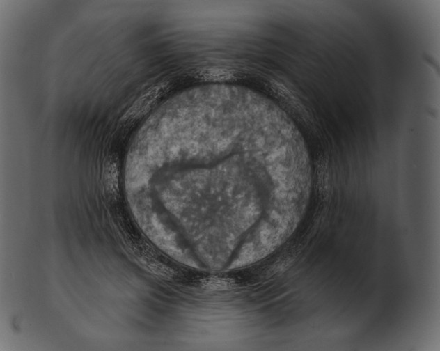 X0000100500549200807031943