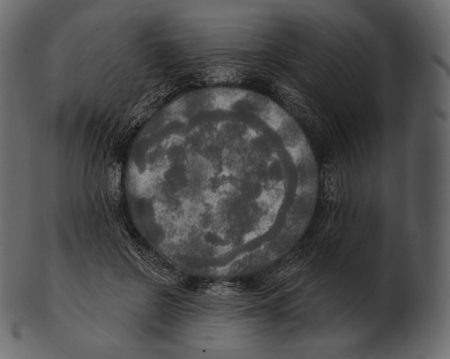 X0000100500550200807031943