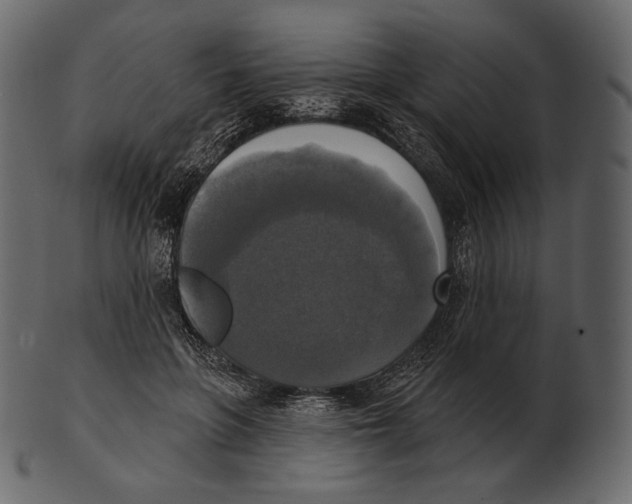 X0000100500551200807031943