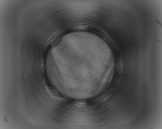 X0000100500552200807031943